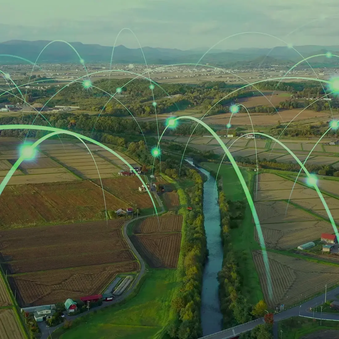 Luftaufnahme von Ackerland mit überlagerten digitalen Netzwerkleitungen und leuchtenden Knoten, die intelligente Agrartechnologie und vernetzte ländliche Infrastruktur symbolisieren.