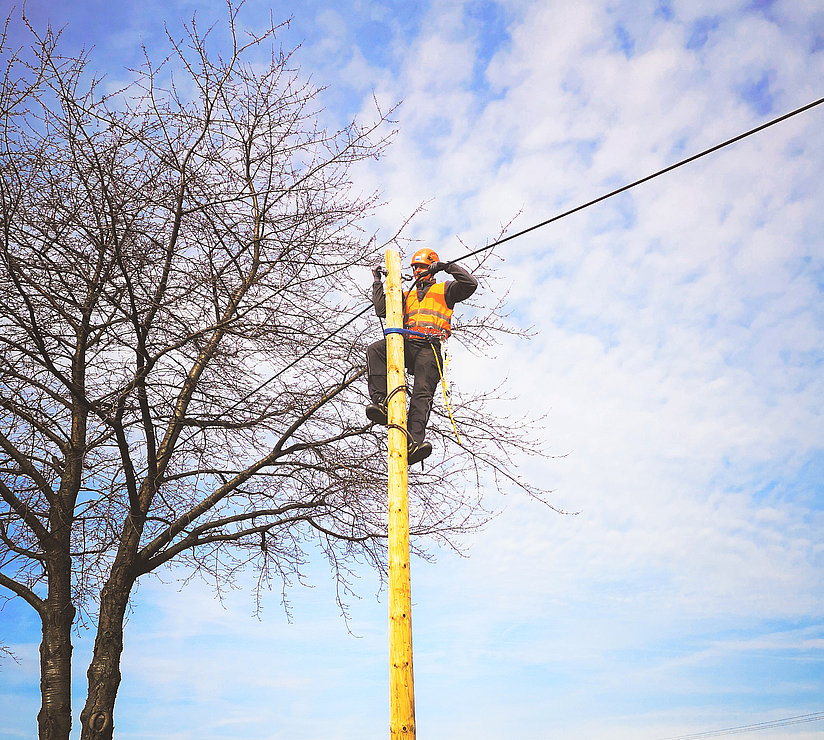 Ein Versorgungsarbeiter mit Sicherheitsweste und Helm steht auf einem hölzernen Strommast und arbeitet an Oberleitungen in der Nähe eines blattlosen Baums in einer offenen ländlichen Landschaft unter einem teilweise bewölkten Himmel.